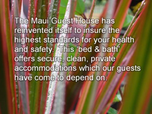 لاهينا The Guest House المظهر الخارجي الصورة